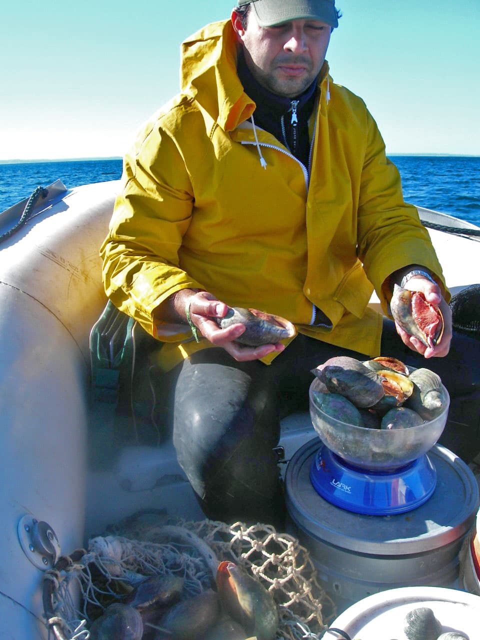 Fisheries