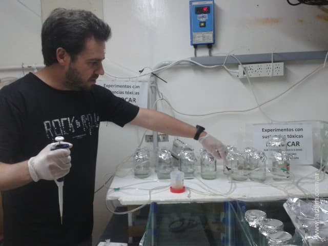 Ecotoxicology